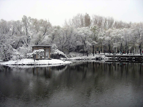 人工湖冬景